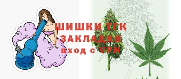 мдпв Чердынь
