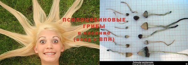 mdma Фурманов